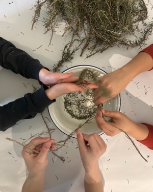 A Glimpse into Bamberg's Urban Gardening